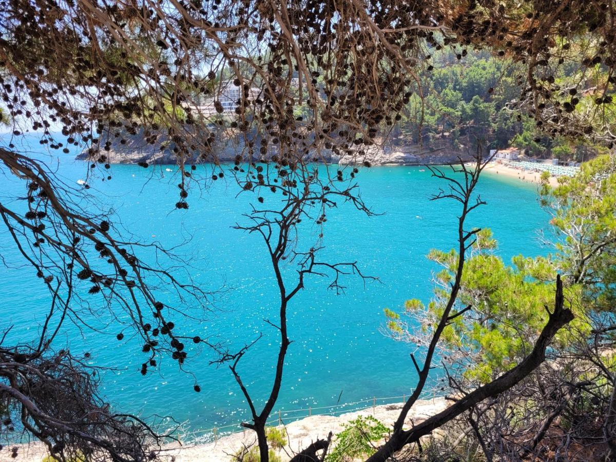 Villetta Roberto Le Macine Di Charme - Pugnochiuso Resort Vieste Bagian luar foto