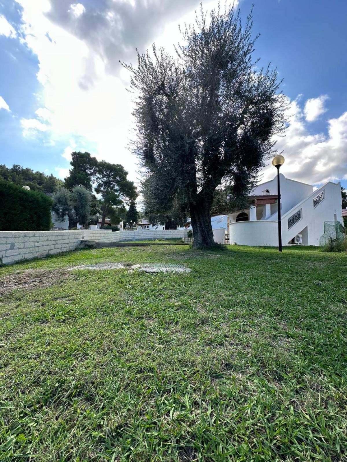 Villetta Roberto Le Macine Di Charme - Pugnochiuso Resort Vieste Bagian luar foto