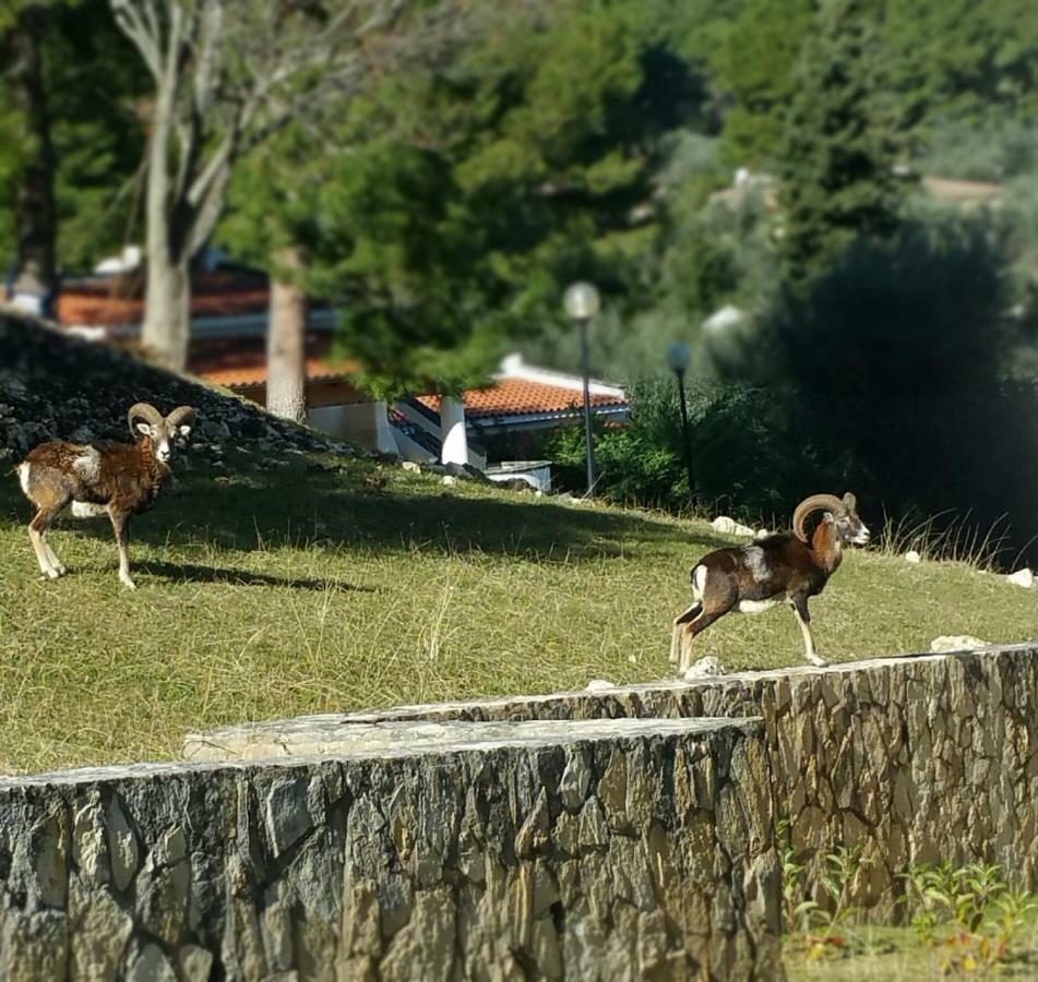 Villetta Roberto Le Macine Di Charme - Pugnochiuso Resort Vieste Bagian luar foto